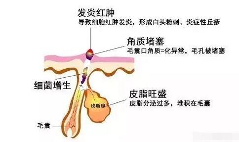 QQ截图20200512152422.jpg